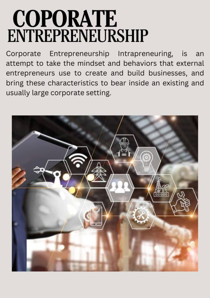 Corporate Entrepreneurship